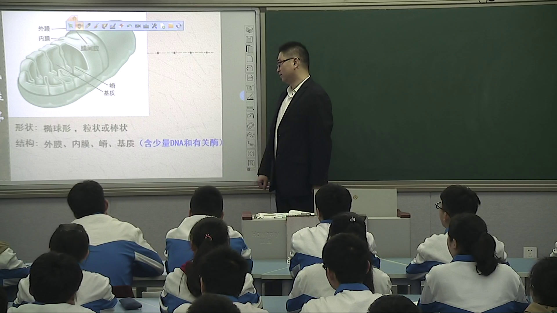 人教版生物必修1《第2节　细胞器──系统内的分工合作》河南周老师-省一等奖