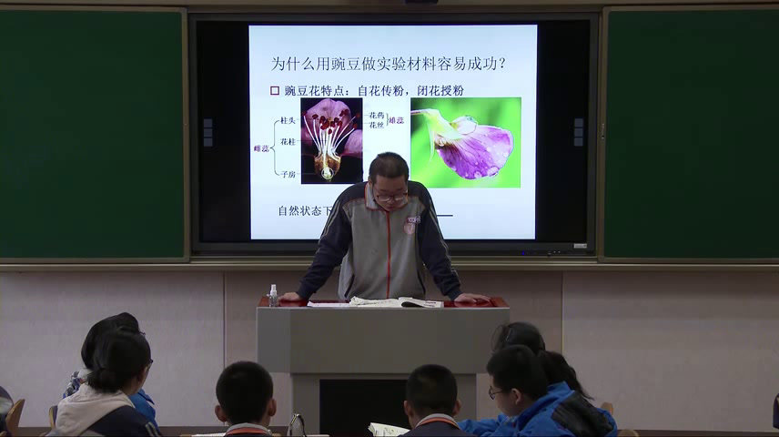 人教版生物必修2《第1节　孟德尔的豌豆杂交实验（一）》内蒙郑老师-省一等奖