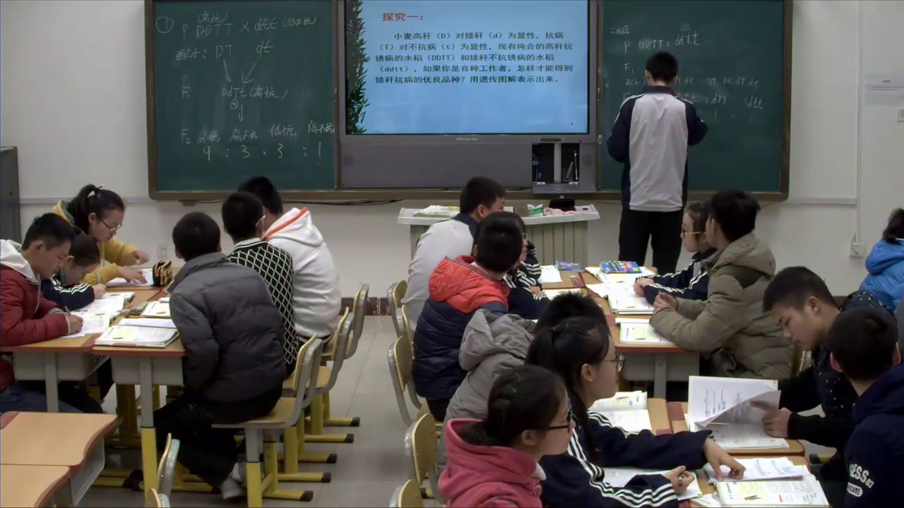 人教版生物必修2《第1节　杂交育种与诱变育种》新疆伍老师-省一等奖
