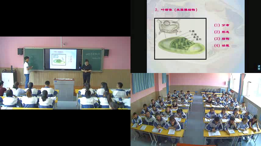人教版生物必修1《科学家的故事　细胞世界探微三例》宁夏老师-市一等奖