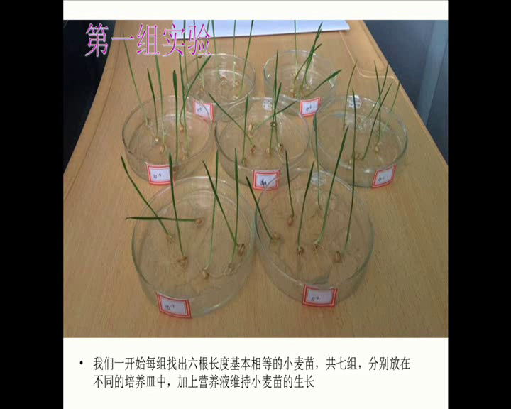 人教版生物必修3《第2节　生长素的生理作用》北京曾老师-全国一等奖