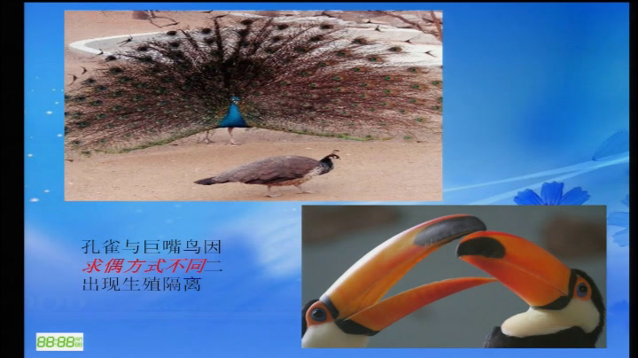 人教版生物必修2《二　隔离与物种的形成》安徽李老师-市一等奖