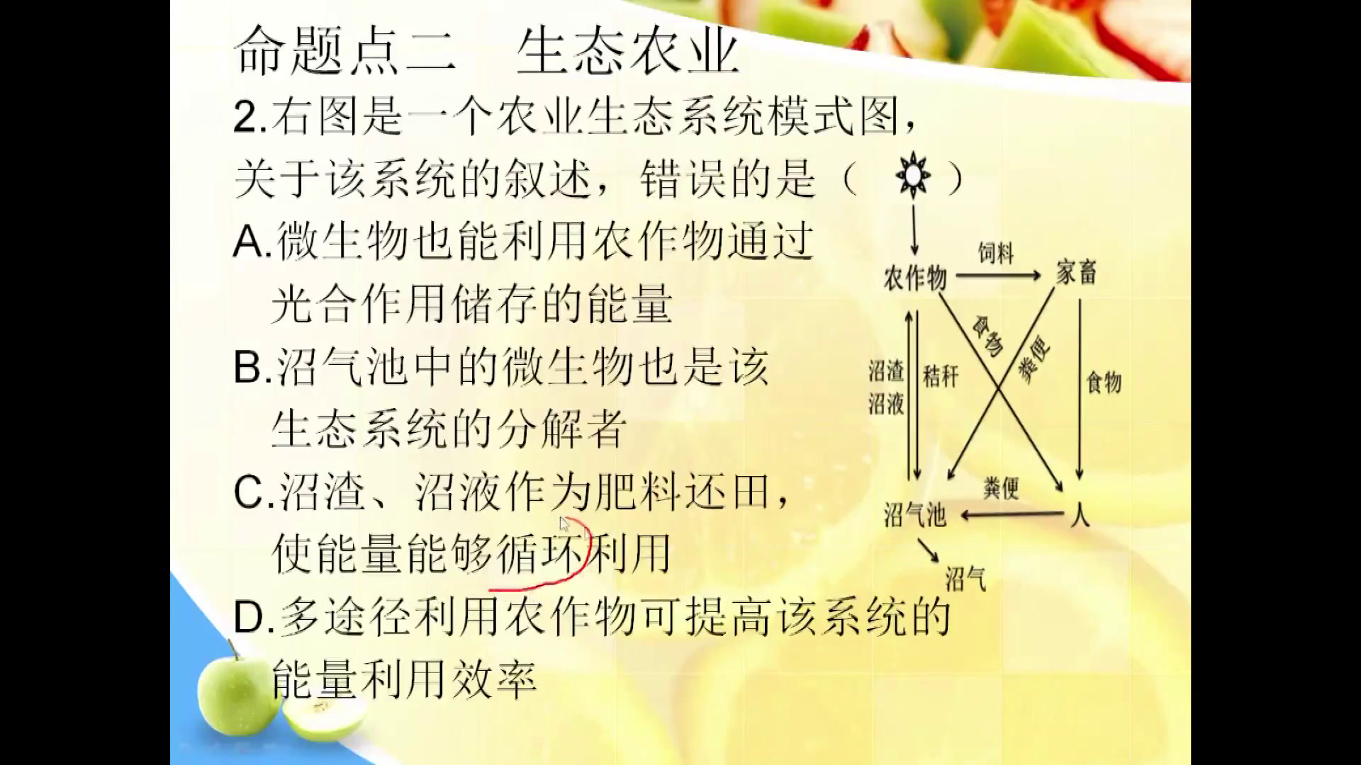 人教版生物必修3《全章复习与测试》山西那老师-省一等奖