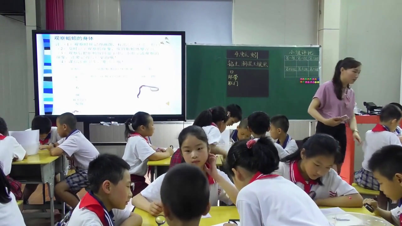 教科2001版科学三上《蚯蚓》福建叶老师-市一等奖