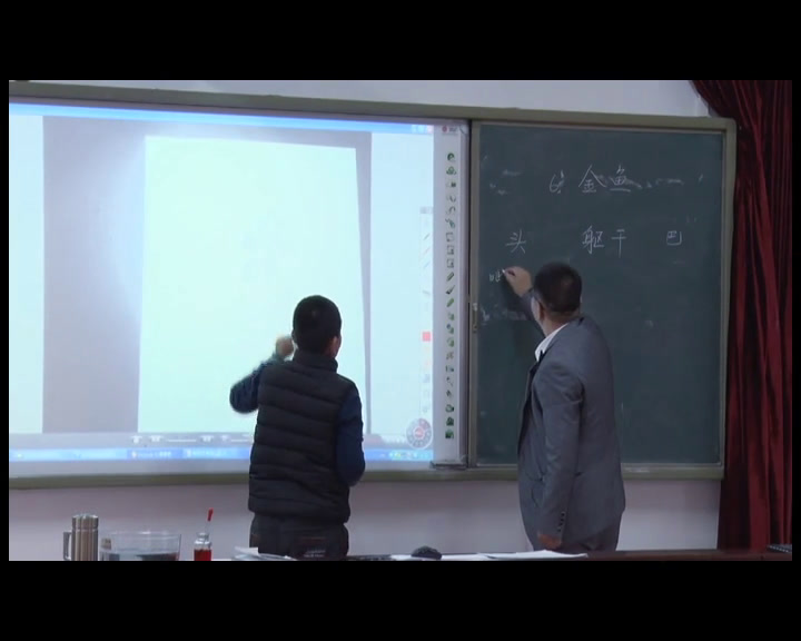 教科2001版科学三上《金鱼》福建林老师-市一等奖
