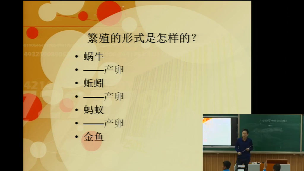 教科2001版科学三上《动物有哪些相同特点》黑龙江孙老师-市一等奖
