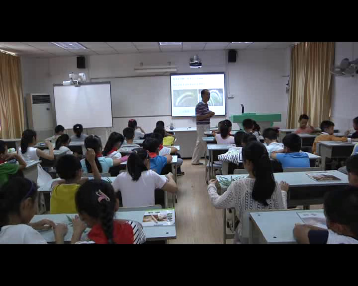 教科2001版科学三上《大树和小草》安徽陈老师-市一等奖