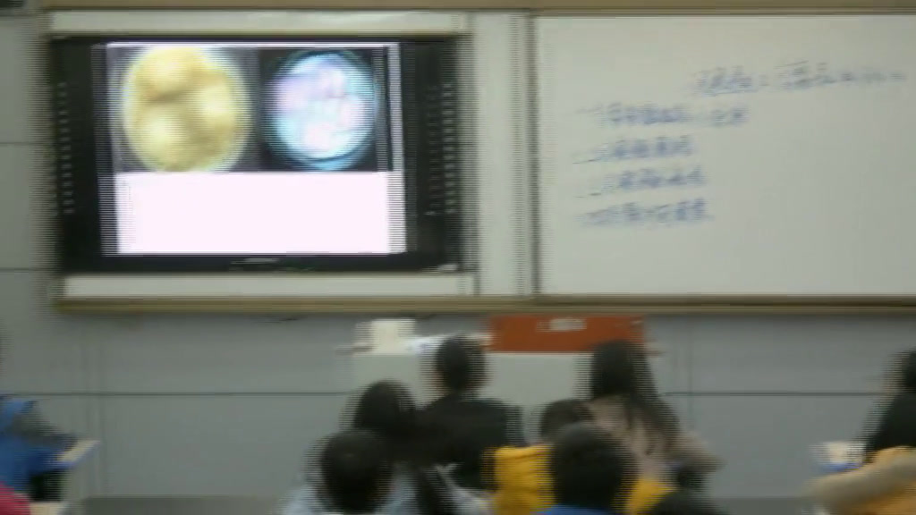 人教版生物选修1《课题2　腐乳的制作》重庆杨老师-省一等奖
