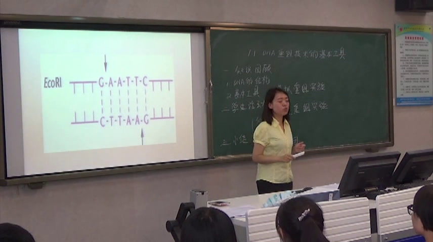 人教版生物选修3《1.1　DNA重组技术的基本工具》陕西李老师-省一等奖