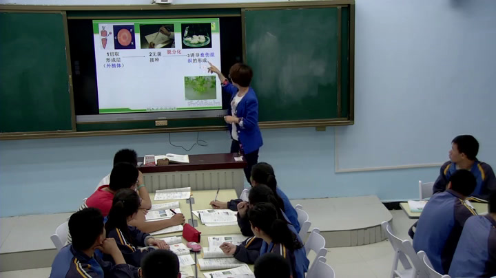 人教版生物选修3《2.1.1　植物细胞工程的基本技术》新疆杨老师-省一等奖