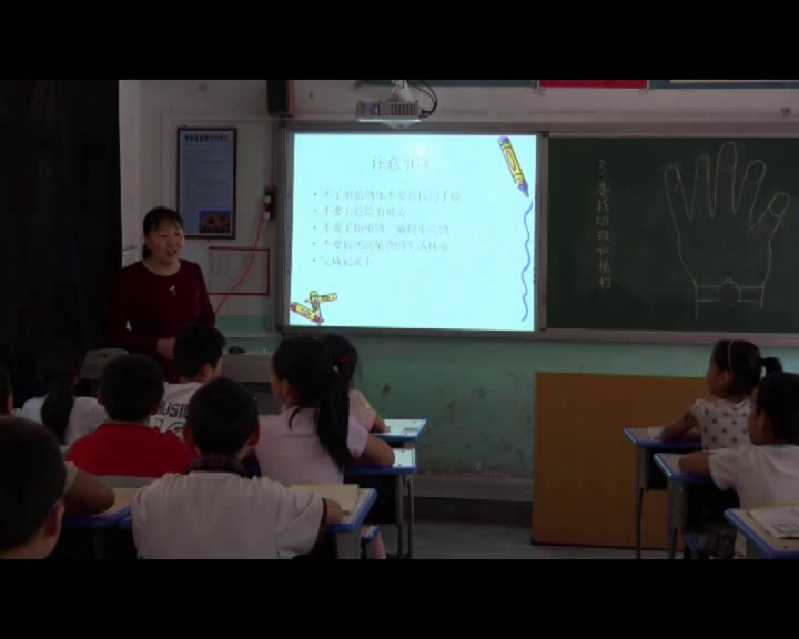冀人2001版科学三上《3寻找动物和植物》河北武老师-市一等奖