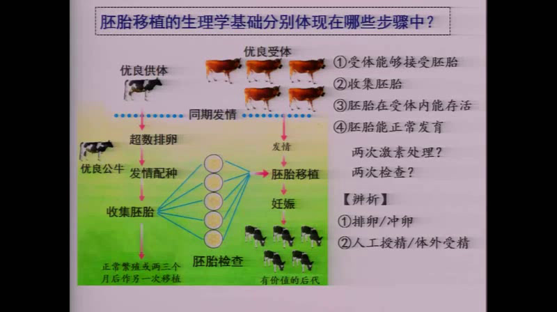 人教版生物选修3《复习与测试》广东老师-市一等奖