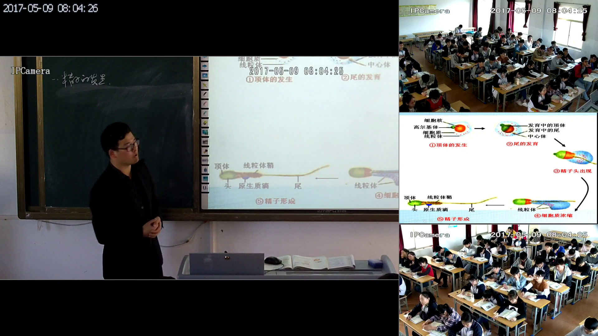 人教版生物选修3《3.1　体内受精和早期胚胎发育》安徽老师-市一等奖