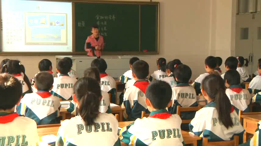 冀人2001版科学三上《15食物的营养》河北郎老师-市一等奖