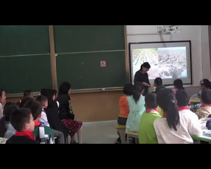 冀人2001版科学三上《11节约用水》安徽石老师-市一等奖