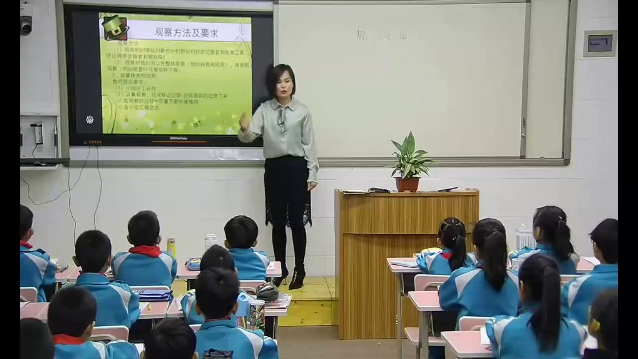 冀人2001版科学三上《5凤仙花》河北杨老师-县级优课