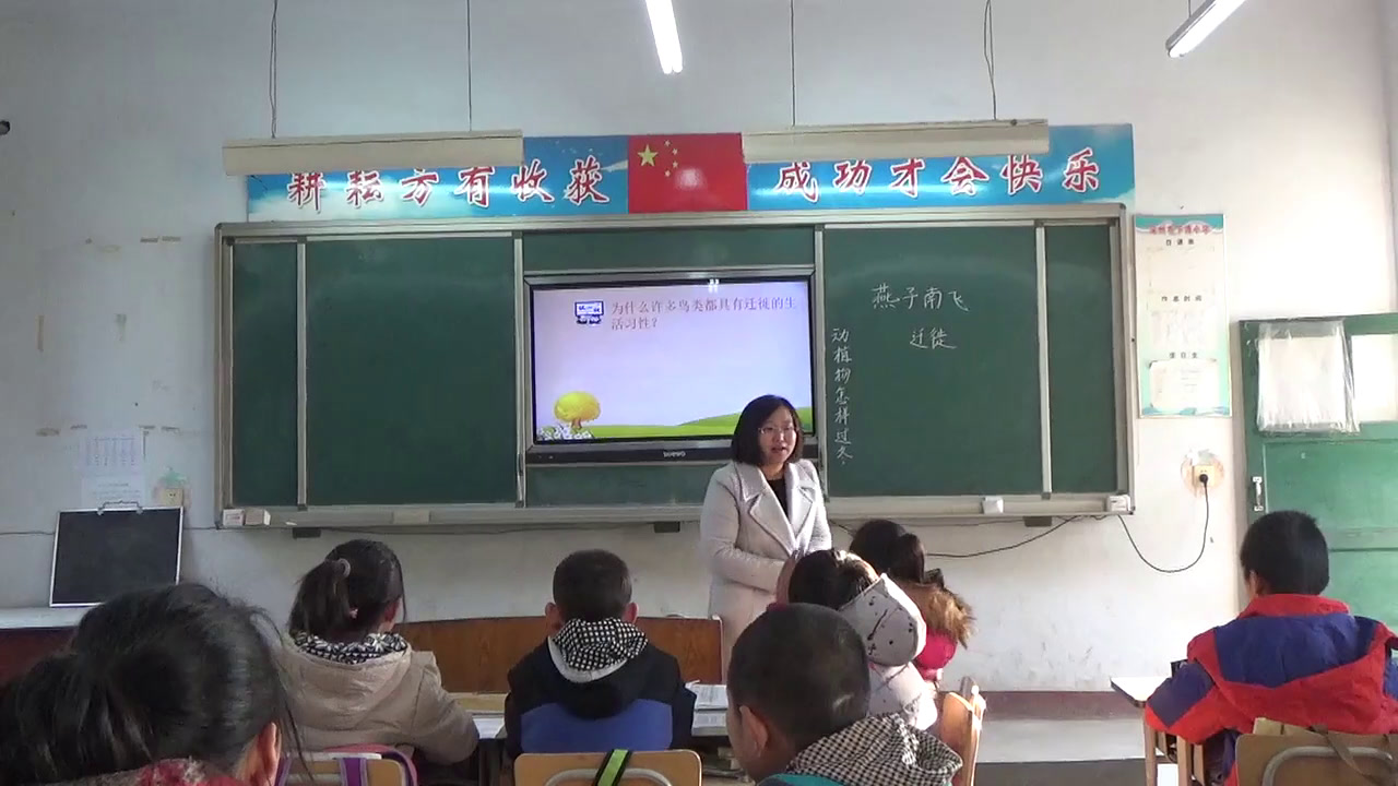 冀人2001版科学五上《7燕子南飞》河北李老师-市一等奖