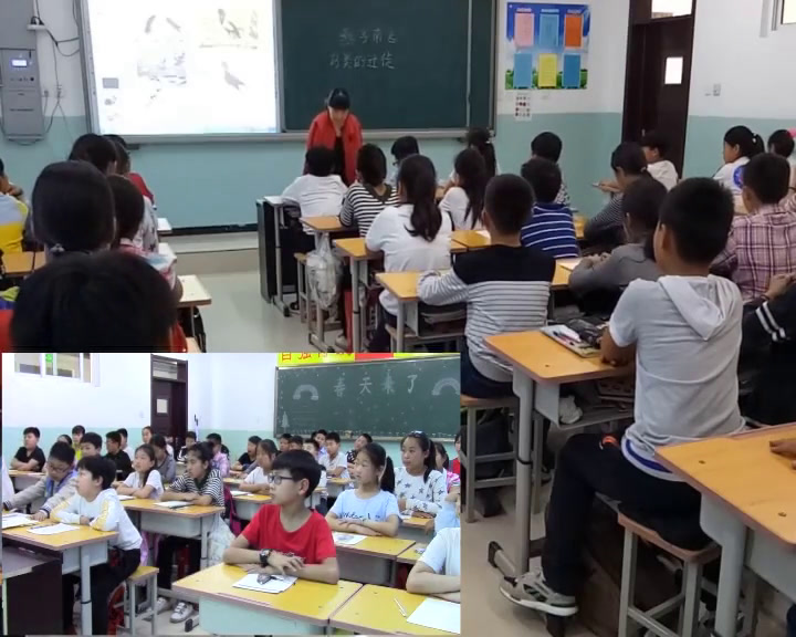 冀人2001版科学五上《7燕子南飞》河北郑老师-县级优课