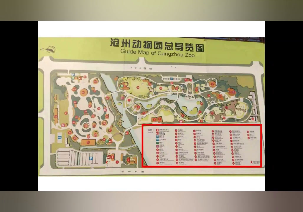 冀人2001版科学四上《5确定位置》河北常老师-全国一等奖