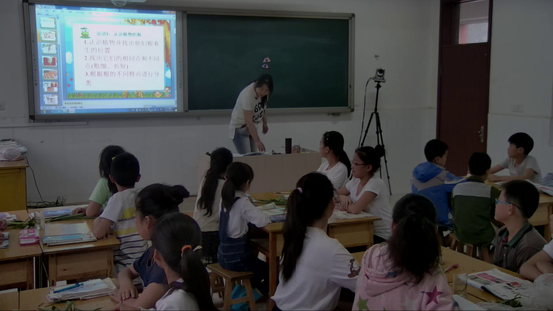 冀人2001版科学五上《4根和茎》河北陈老师-县级优课