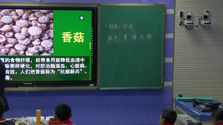 冀人2001版科学六上《6生活中的真菌》西藏黄老师-市一等奖