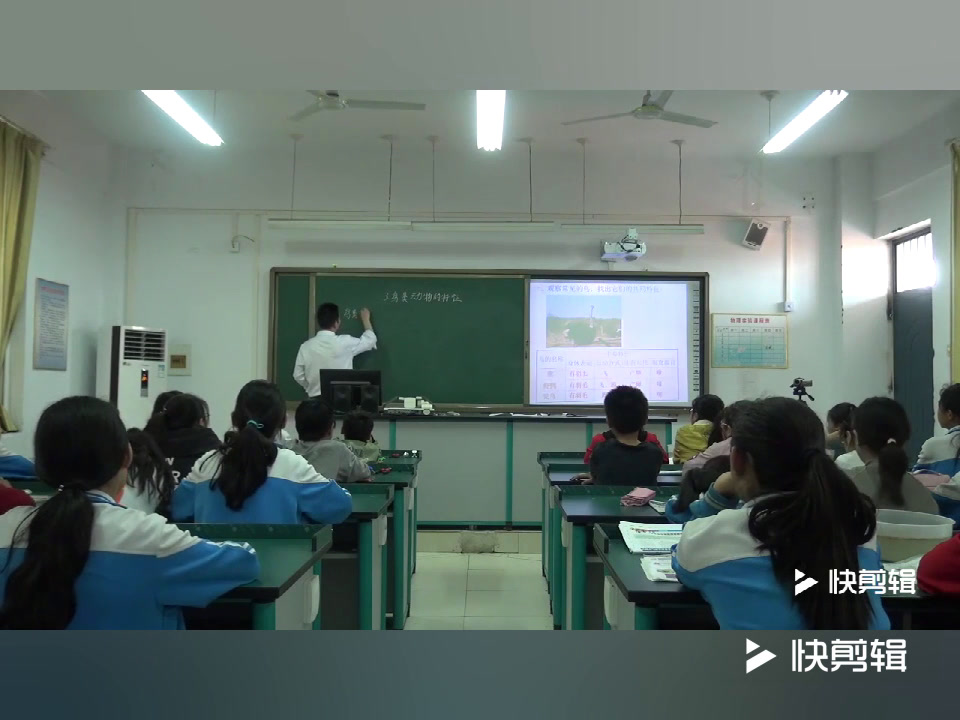 冀人2001版科学六上《3鸟类动物的特征》河南王老师-市一等奖