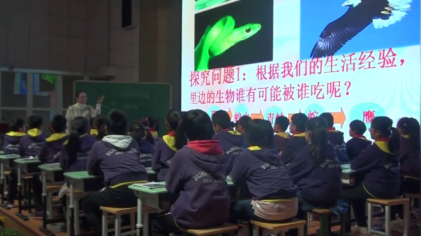 冀人2001版科学六上《10动物与能量》河北何老师-县级优课