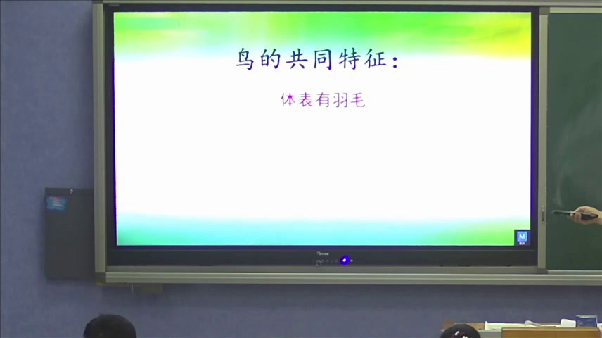 冀人2001版科学六上《3鸟类动物的特征》河北刘老师-县级优课