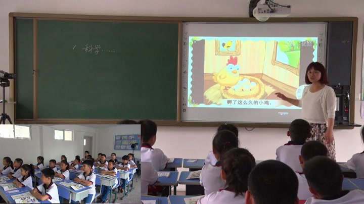 苏教2001版科学三上《1科学是》辽宁于老师-市一等奖