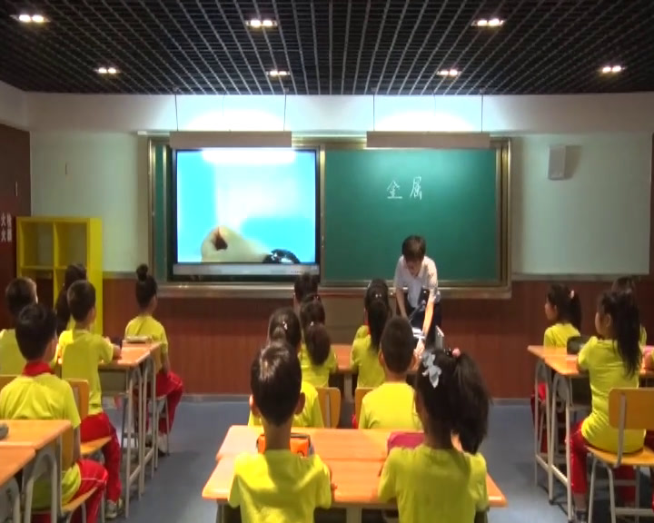 苏教2001版科学三上《4金属》陕西王老师-全国一等奖