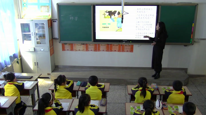 苏教2001版科学三上《1科学是》辽宁岳老师-市一等奖