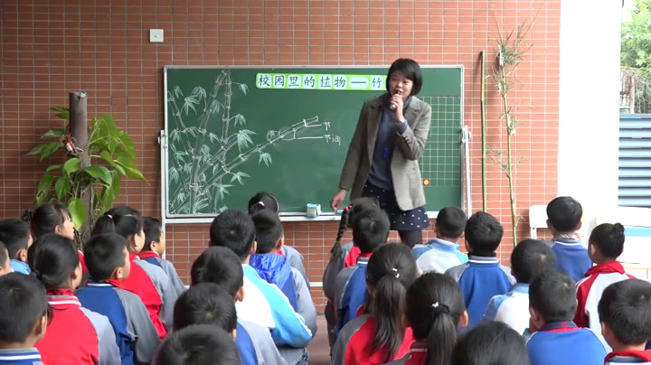 苏教2001版科学三上《2校园里的植物》福建傅老师-市一等奖