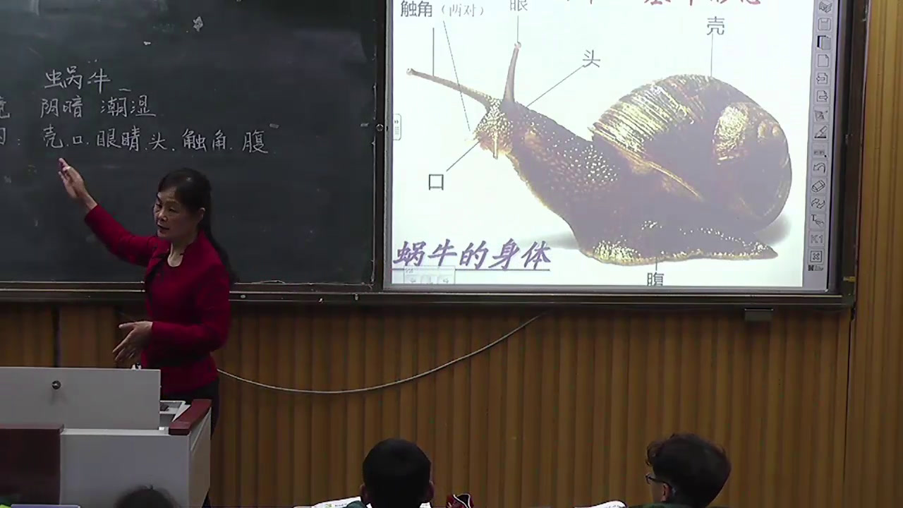 苏教2001版科学三上《3校园里的小动物》安徽王老师-市一等奖
