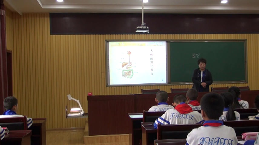 苏教2001版科学四上《3食物的消化》山西安老师-省一等奖