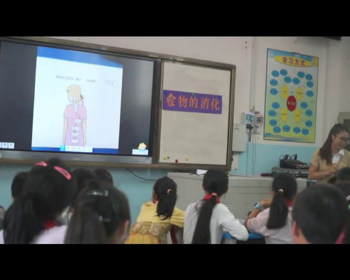 苏教2001版科学四上《3食物的消化》广西陆老师-全国一等奖