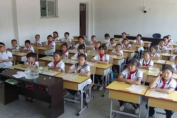 苏教2001版科学四上《1空气的性质》辽宁孙老师-市一等奖