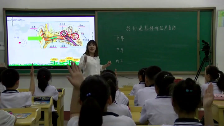 苏教2001版科学四上《3我们是怎样听到声音的》辽宁王老师-市一等奖