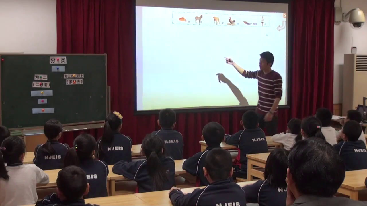 苏教2001版科学四上《2分类》江苏潘老师-市一等奖