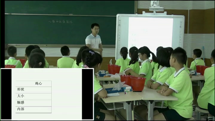 苏教2001版科学五上《3心脏和血液循环》辽宁李老师-市一等奖