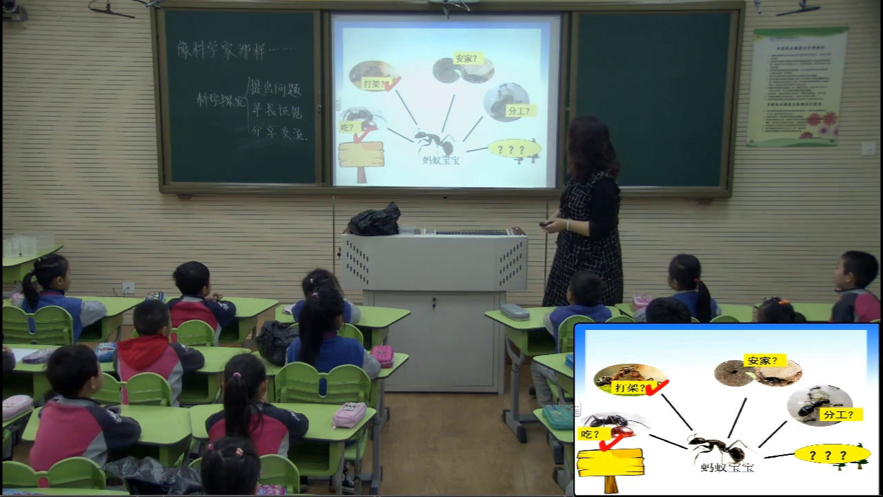 苏教版科学二下《专项学习像科学家那样》辽宁徐老师-市一等奖
