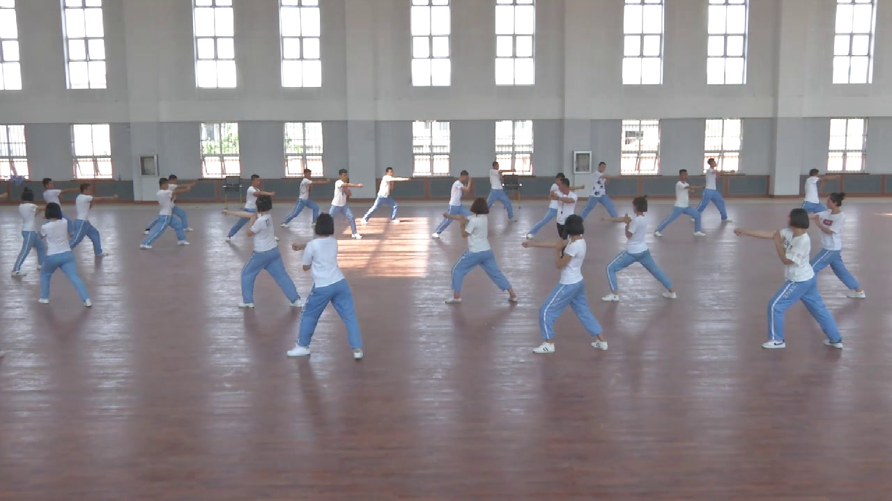 人教版高中体育《1.形神拳》辽宁史老师-全国一等奖