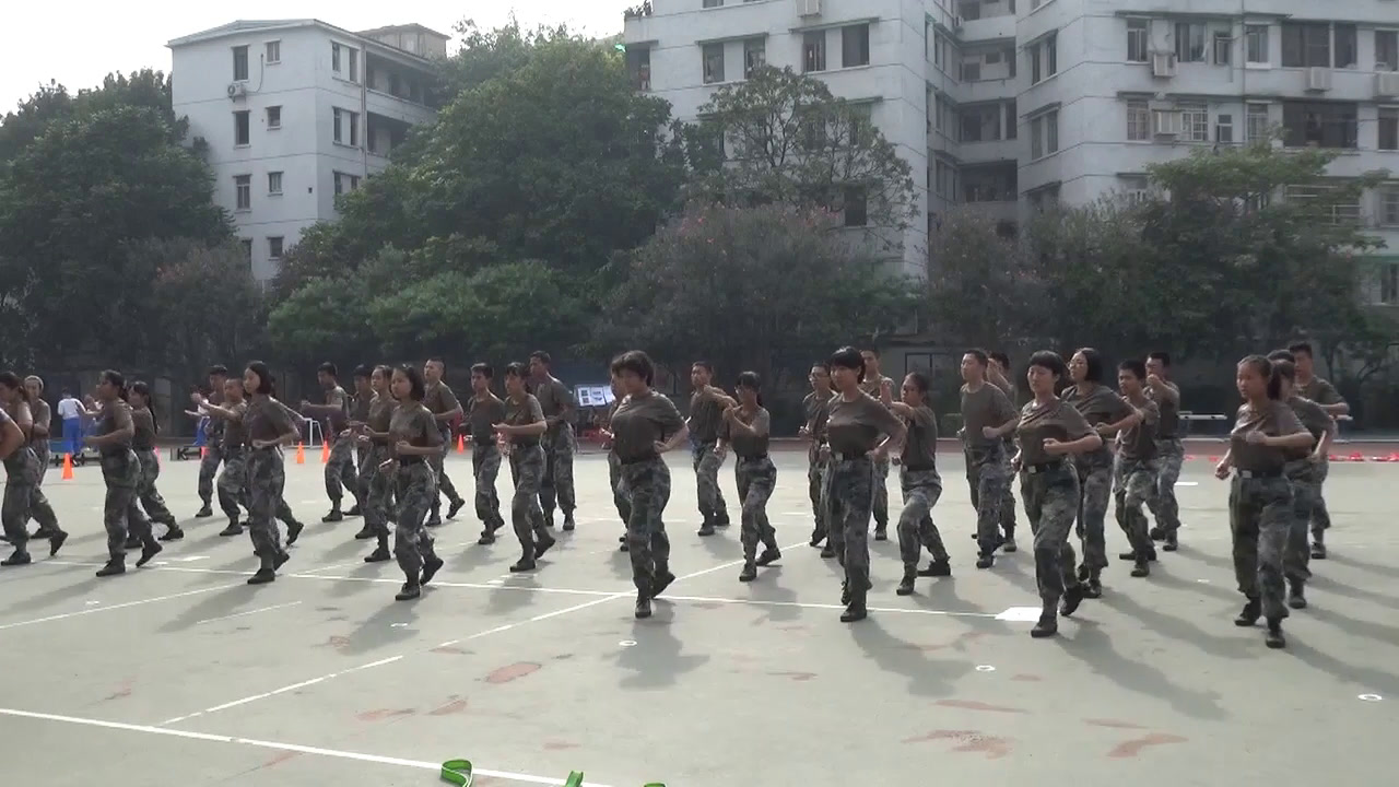 人教版高中体育《武术运动》广东罗老师-全国一等奖