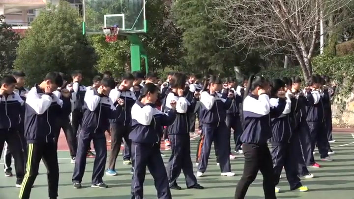 人教版高中体育《4.武术散手》湖北老师-县级优课