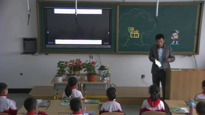 苏教2017版科学一下《11多姿多彩的植物》辽宁尹老师-市一等奖