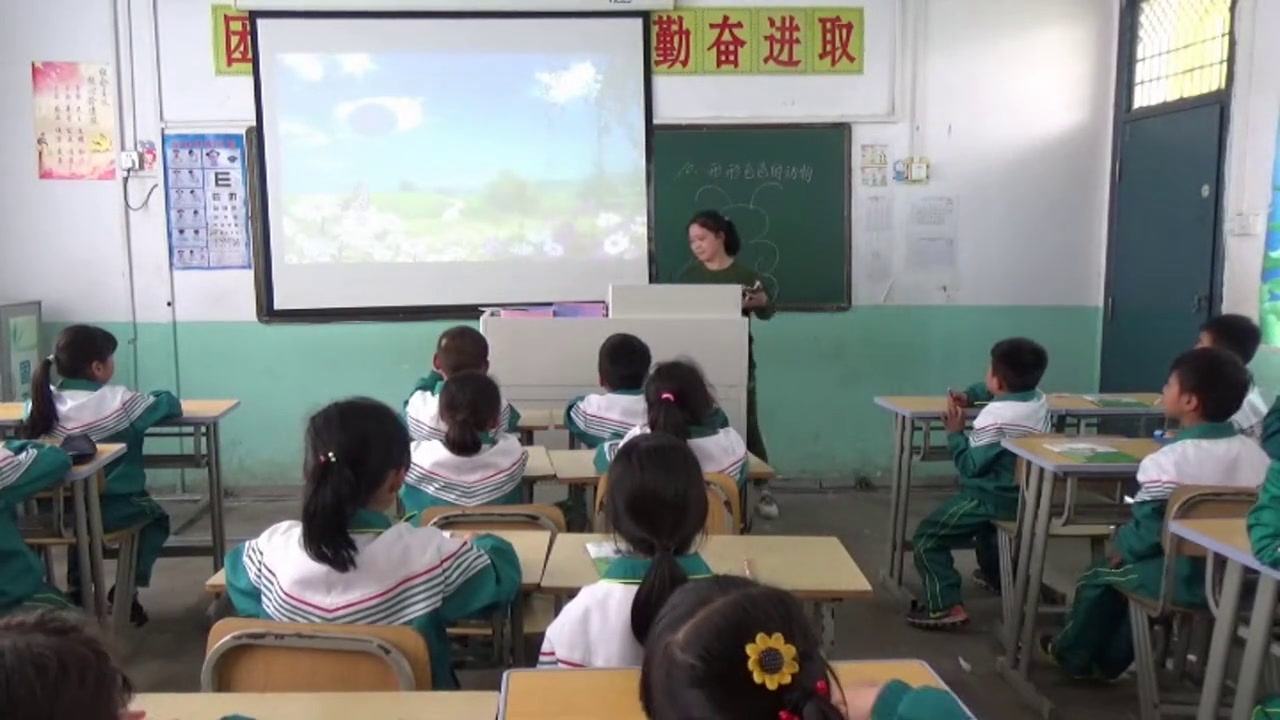 苏教2017版科学一下《10形形色色的动物》安徽何老师-市一等奖