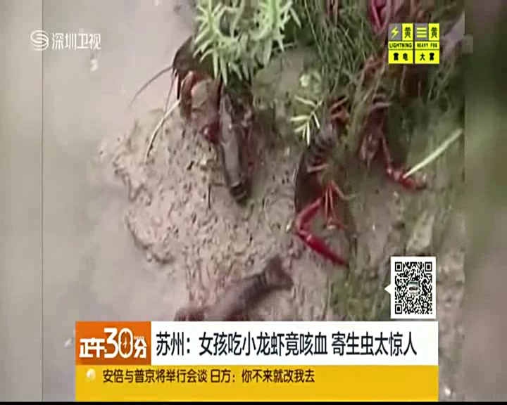 安全教育《预防和应对公共卫生伤害事故发生》重庆梁老师-全国一等奖