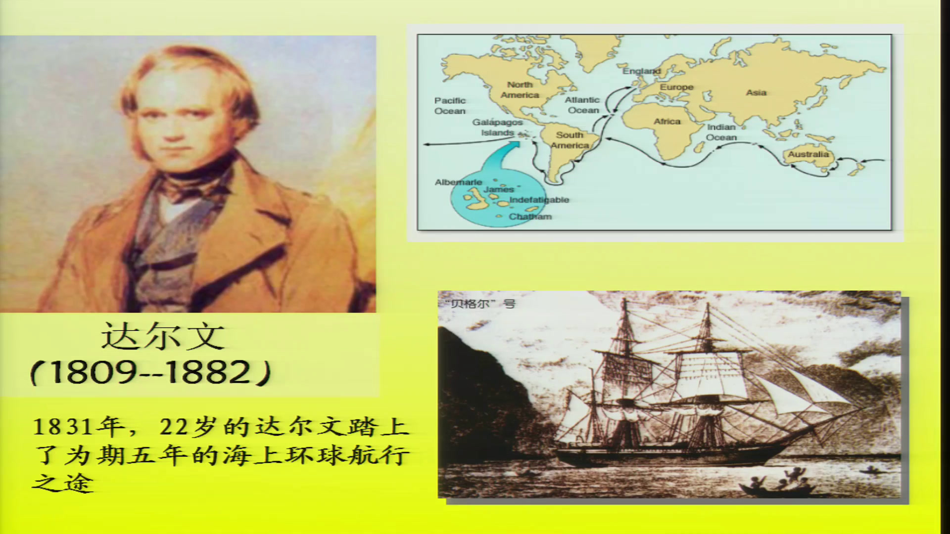 人民版历史必修三《二追寻生命的起源》河北王老师-市一等奖