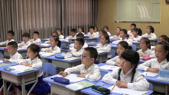 西南师大版数学二下《问题解决》四川罗老师-县级优课
