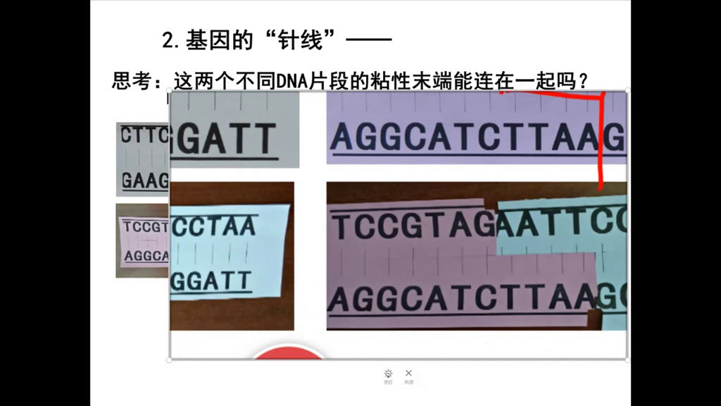 苏教版生物必修2《基因工程及其应用》甘肃张老师-全国一等奖