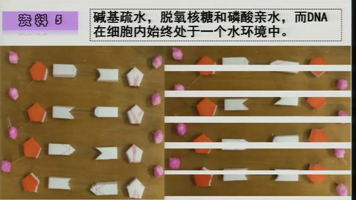 苏教版生物必修2《DNA分子的复制》贵州燕老师-省一等奖